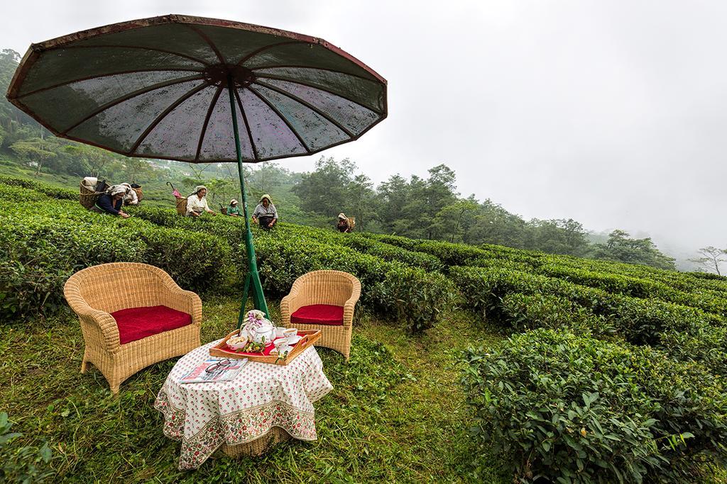Penzion Ging Tea House Dárdžiling Exteriér fotografie
